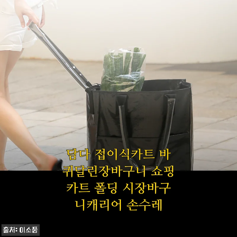 담다 접이식카트 바퀴달린장바구니 쇼핑카트 사용후기 - 실용성과 디자인 모두 만족!