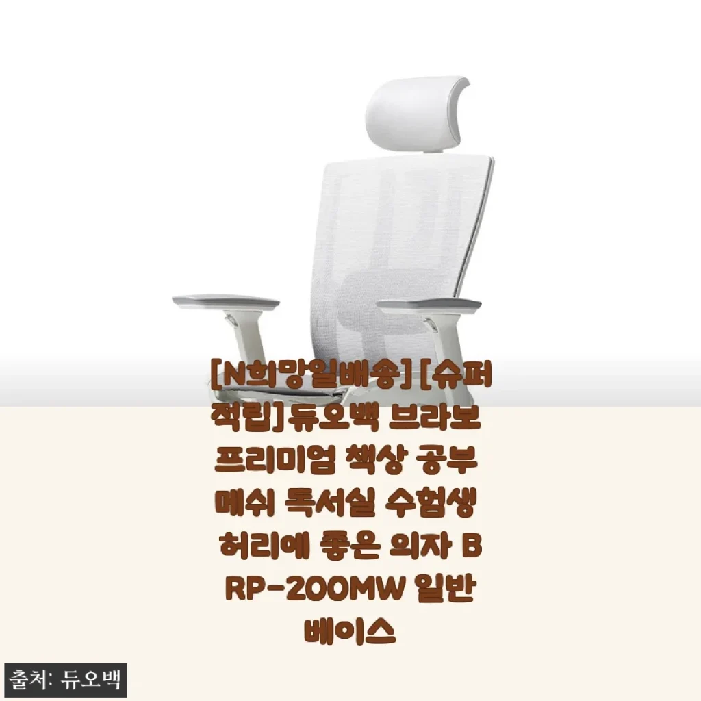 듀오백 브라보 프리미엄 의자 사용후기: 허리 편안함과 실사용 경험