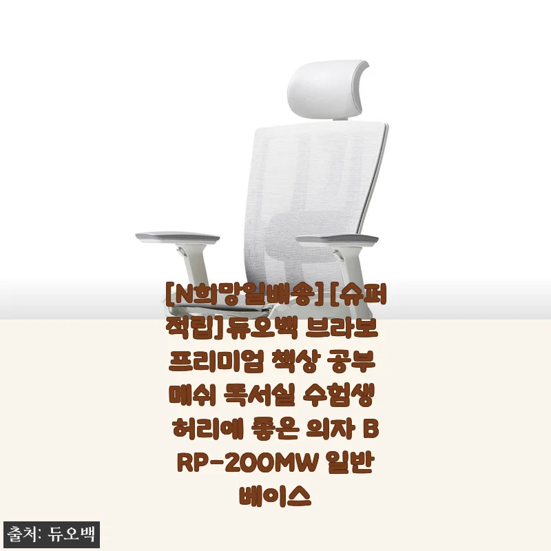 듀오백 브라보 프리미엄 의자 사용후기: 허리 편안함과 실사용 경험
