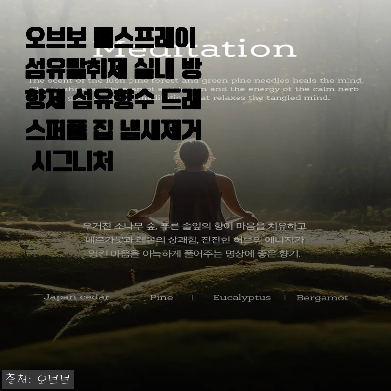오브보 룸스프레이 섬유탈취제 사용후기 - 집안과 차 안을 상쾌하게 바꾸다