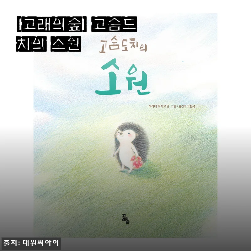 고래의숲 고슴도치의 소원 사용후기와 제품 소개
