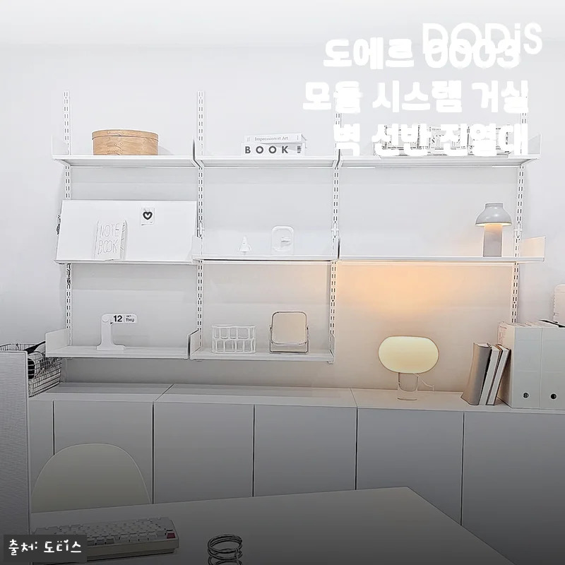 도에르 0003 모듈 시스템 거실 벽 선반 진열대 사용후기