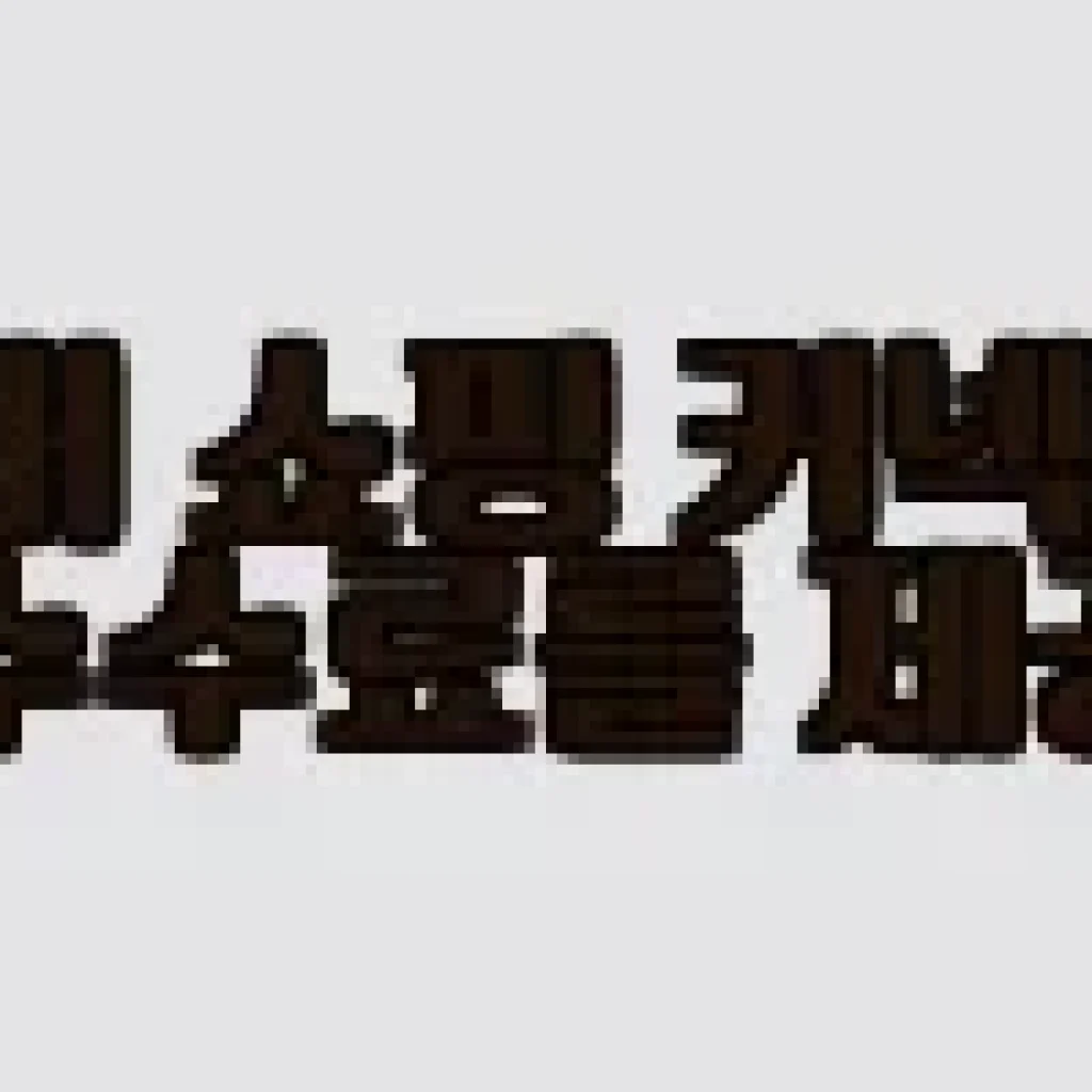 클래파 차량용 청소기 에어건 사용후기: 원룸부터 차량까지 다용도로 만족스러운 선택