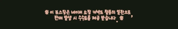 테크스킨 투어 플렉스 트롤리 휠 보스턴백 홀로그램 사용후기
