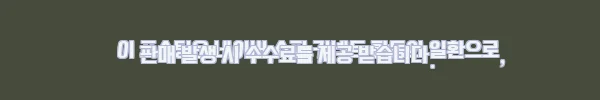 셀프웨딩도 드라마처럼, 펜트하우스 김소연 천서진 스타일 2부 드레스 착용하고 스냅 촬영한 후기 8 이해관계문구