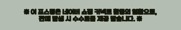 타이맥스 Q 컨티넨탈 데이데이트 39mm 블랙다이얼, 두 달 차고 느낀 솔직한 매력 11 이해관계문구