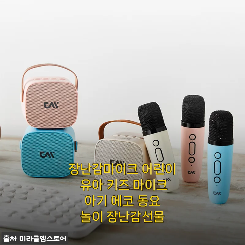 에코 동요 마이크로 우리 아기 노래 홀릭! 유아 장난감 마이크 실사용 후기
