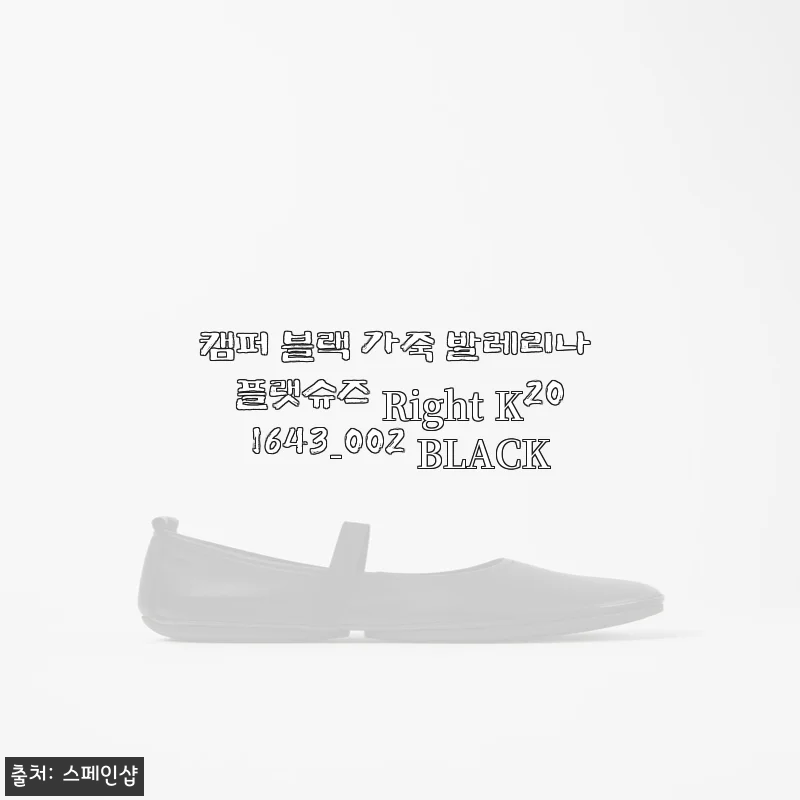 30대 직장인 발레리나 플랫슈즈 고민 끝에 만난 캠퍼, 블랙 가죽의 품격과 편안함