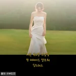 셀프 스냅촬영 예감, 새틴 튜브탑 머메이드 셀프웨딩드레스 솔직 후기