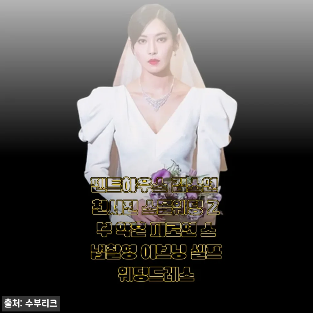 셀프웨딩도 드라마처럼, 펜트하우스 김소연 천서진 스타일 2부 드레스 착용하고 스냅 촬영한 후기