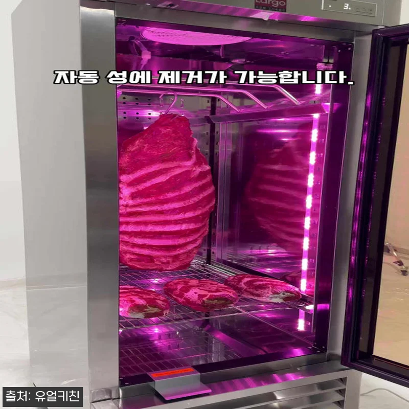 라셀르 고기숙성냉장고 LMP-611DAP, 업소용 고기숙성고 구매 전 가격·혜택 체크 후기 8 라셀르 고기숙성냉장고 LMP-611D 관련 이미지 3