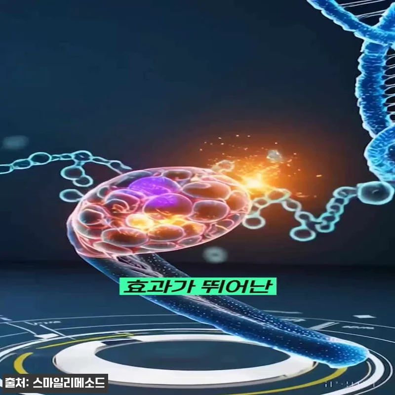 스마일리메소드 TTF NMN 3600 관련 이미지 9