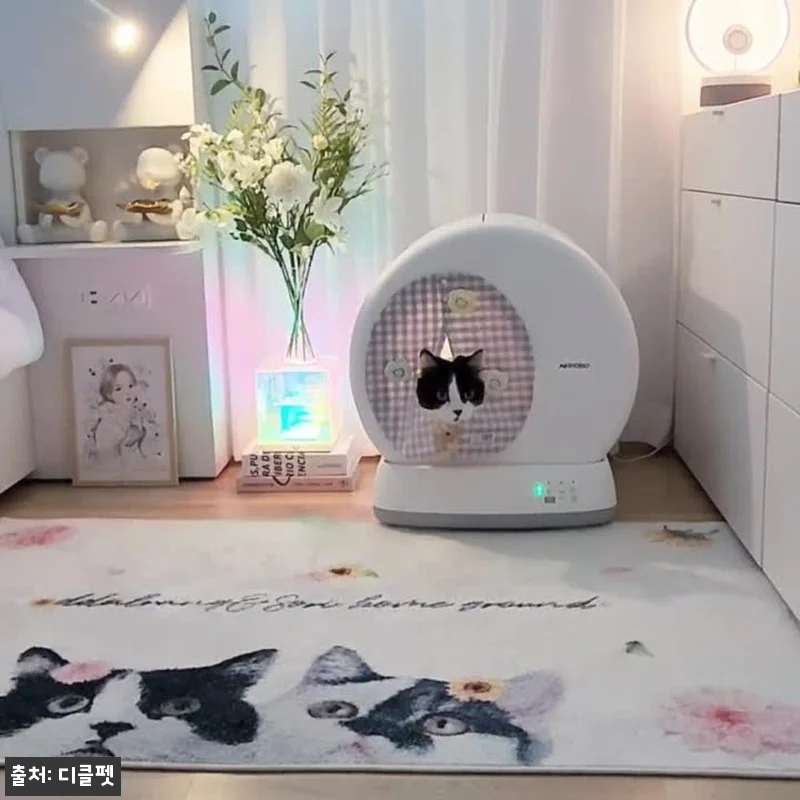디클펫 고양이 자동 화장실 에어로보 C10 Pro, 모래 삽질 부담 줄여주는 이슈템 후기 22 디클펫 고양이 자동 화장실 에어로보 관련 이미지 10