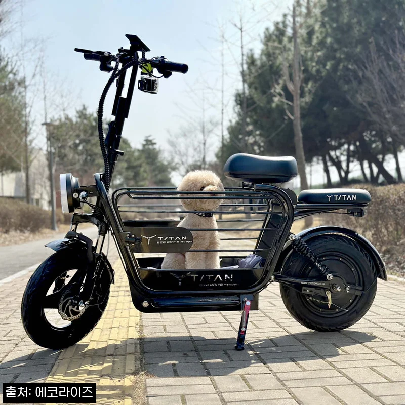 타이탄600 Pro 강아지 대형견 전기 전동 스쿠터 21Ah 블랙, 할인·적립 조건 꼼꼼히 본 구매 전 체크 후기