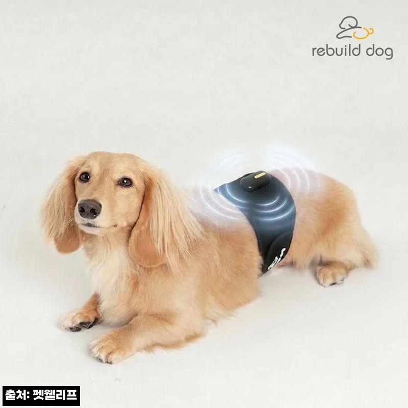 리빌독 강아지 디스크 척추 허리 EMS 마사지기, 허리 케어템으로 눈여겨본 이유