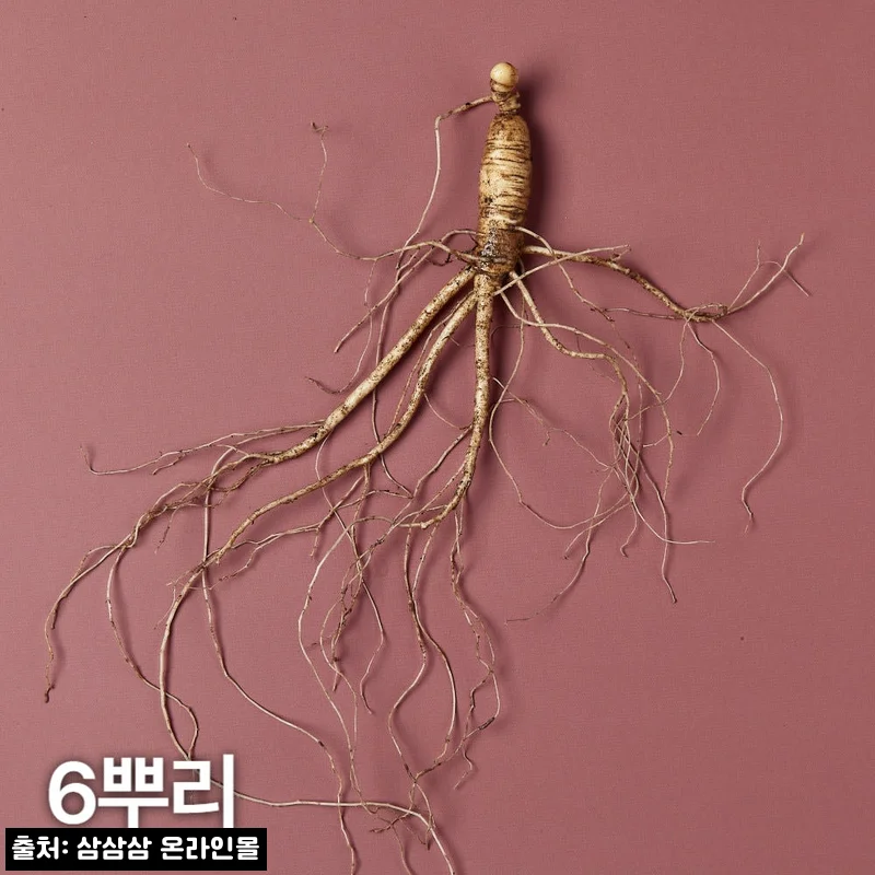 7~8년근 산양산삼 6뿌리 찐정보 후기, 강원 국내산 선물용으로 꼼꼼히 본 이유